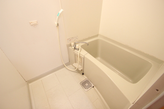 グリーンビュー中須 B