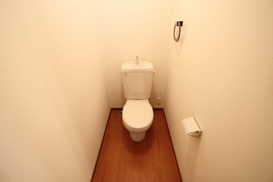 グリーンビュー中須 B