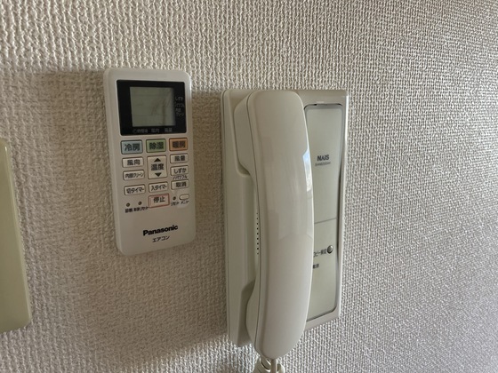 プラティーク川島