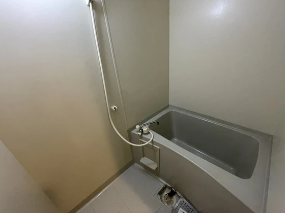 プラティーク川島