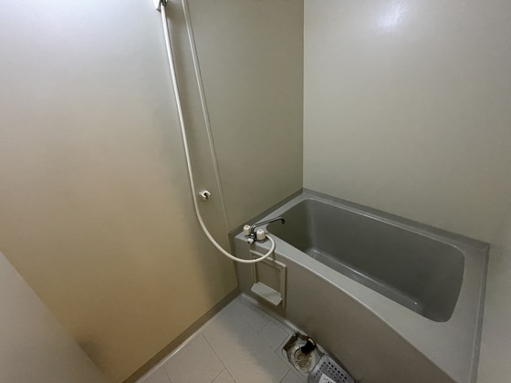 プラティーク川島