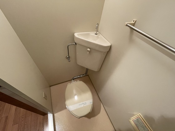 プラティーク川島