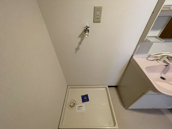 プラティーク川島