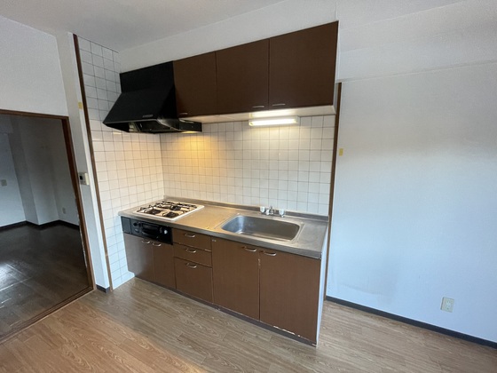 プラティーク川島