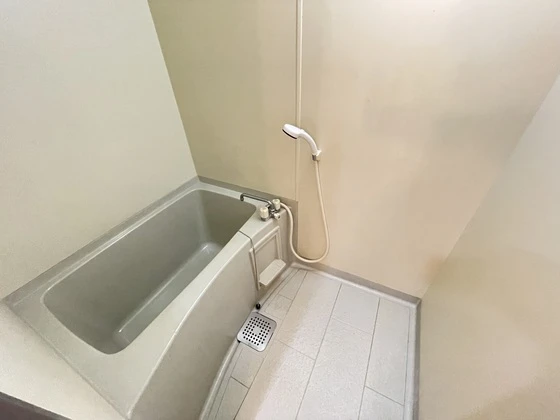 プラティーク川島