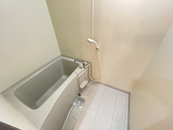 プラティーク川島