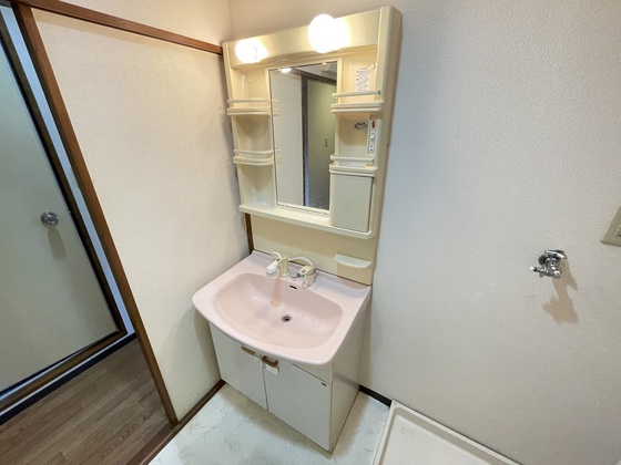 プラティーク川島