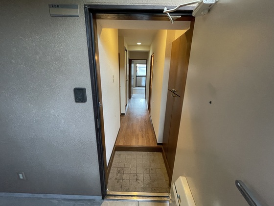 プラティーク川島