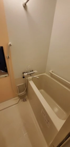 レオネクストM&H Ⅱ