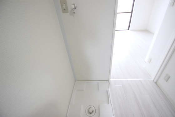 ドミール・エヌ