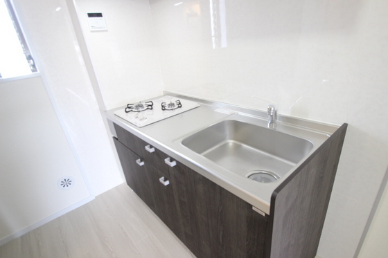 ドミール・エヌ