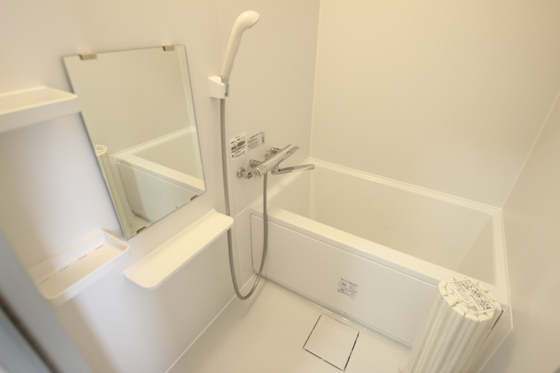 ドミール・エヌ