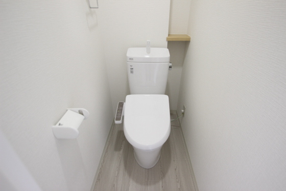 ドミール・エヌ