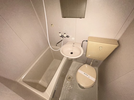 ドミール・エヌ