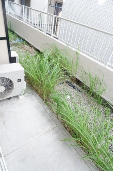 オレンジハウス坪井