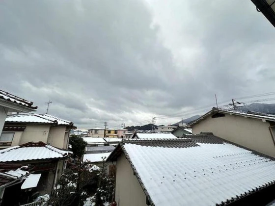 スタンピード八幡