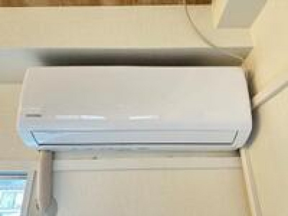 スタンピード八幡