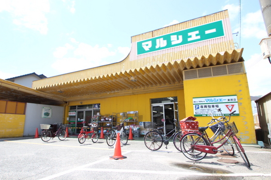 グランディール東原 E棟