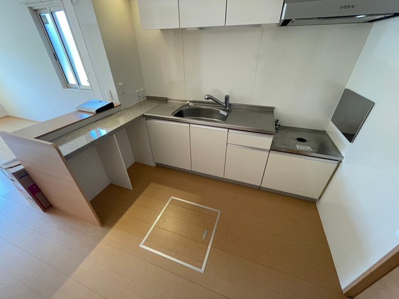 ルミナスコート