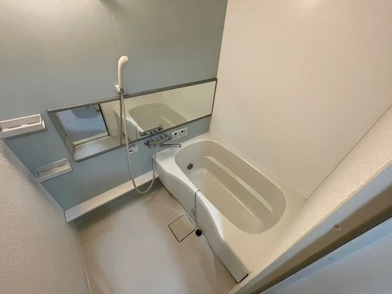 ルミナスコート