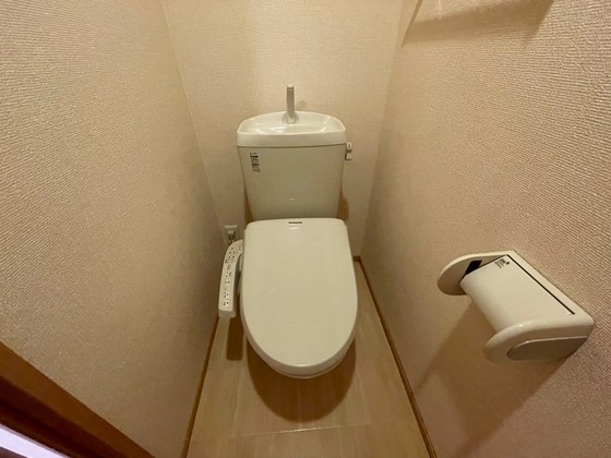 ルミナスコート