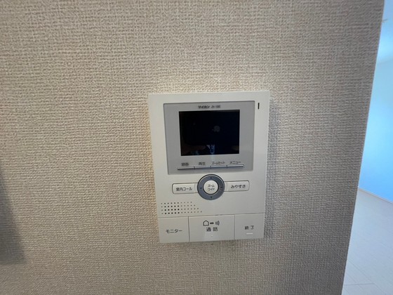 ルミナスコート