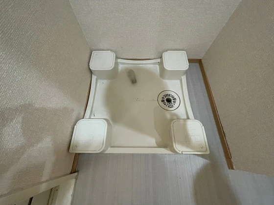 ルミナスコート