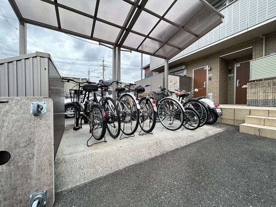 ルミナスコート