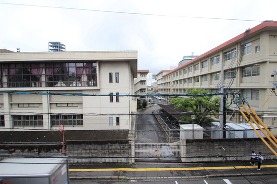 プロヴァンス小町