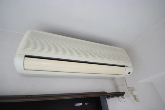 プロヴァンス小町