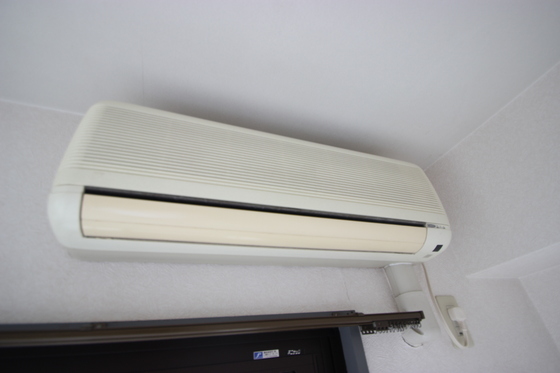 プロヴァンス小町