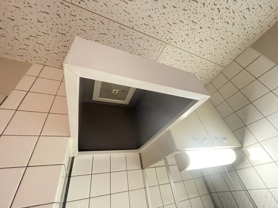 ネオデラサンテ