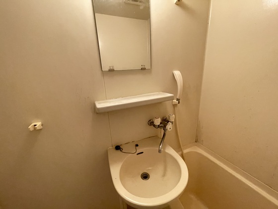 ネオデラサンテ