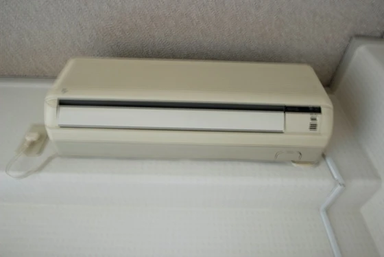 ネオデラサンテ