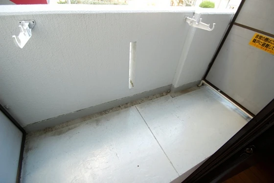 ネオデラサンテ