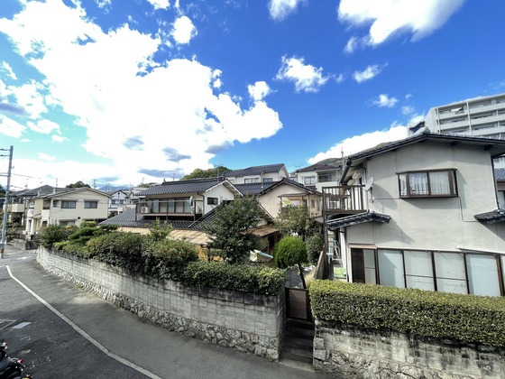 ネオデラサンテ