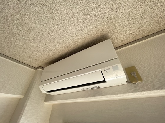 ネオデラサンテ