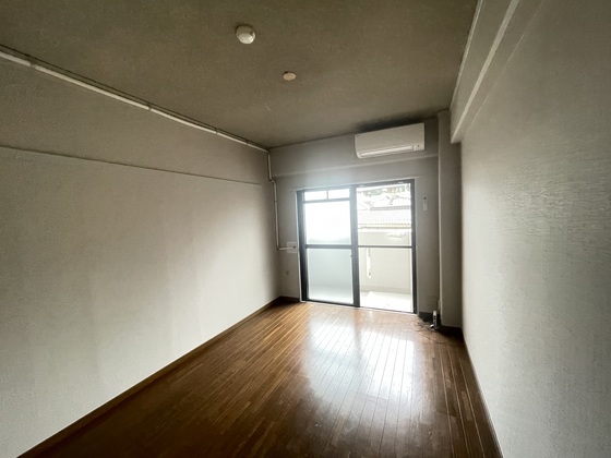 ネオデラサンテ