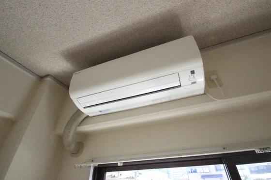 ネオデラサンテ