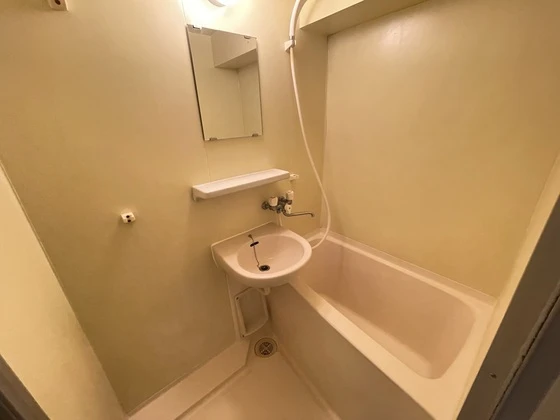 ネオデラサンテ