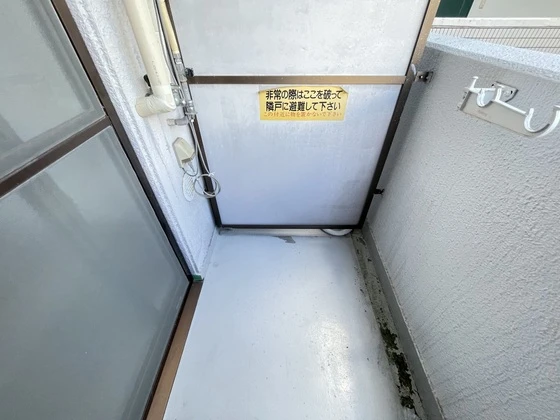 ネオデラサンテ