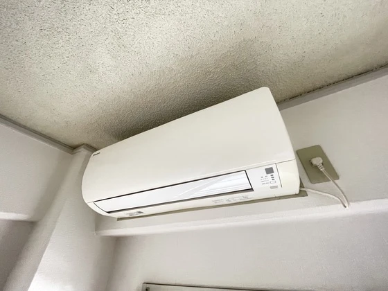 ネオデラサンテ