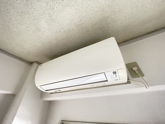 ネオデラサンテ