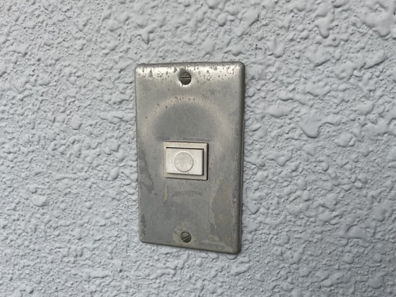 ネオデラサンテ