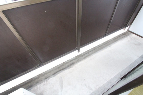 リオン・カスミ