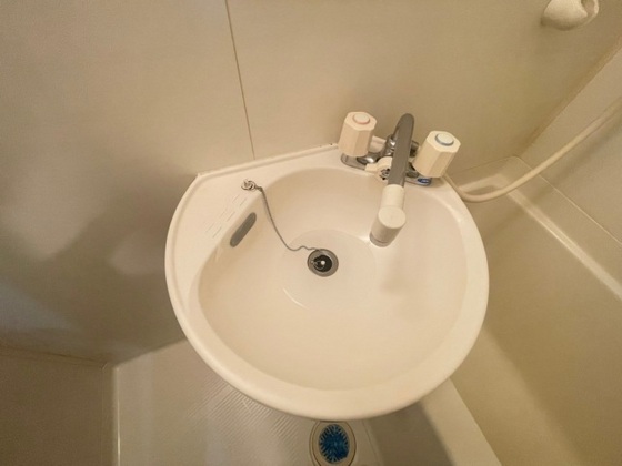 リオン・カスミ