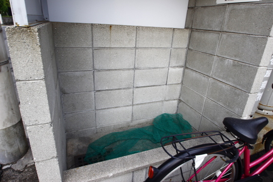 リオン・カスミ