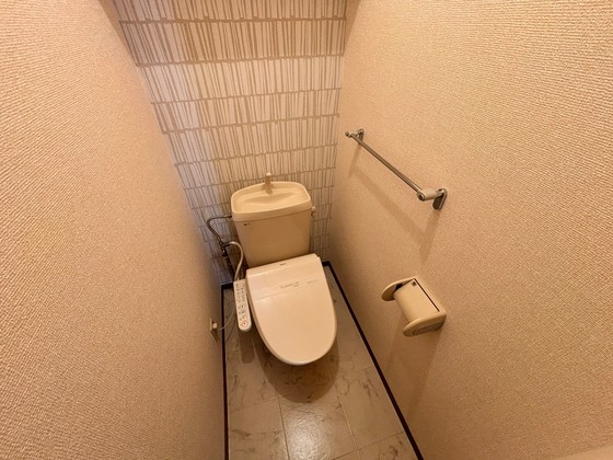 プレミール・ドミ