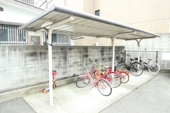 プレミール・ドミ