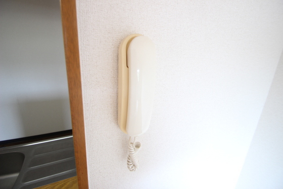 ルミエール伴丈木